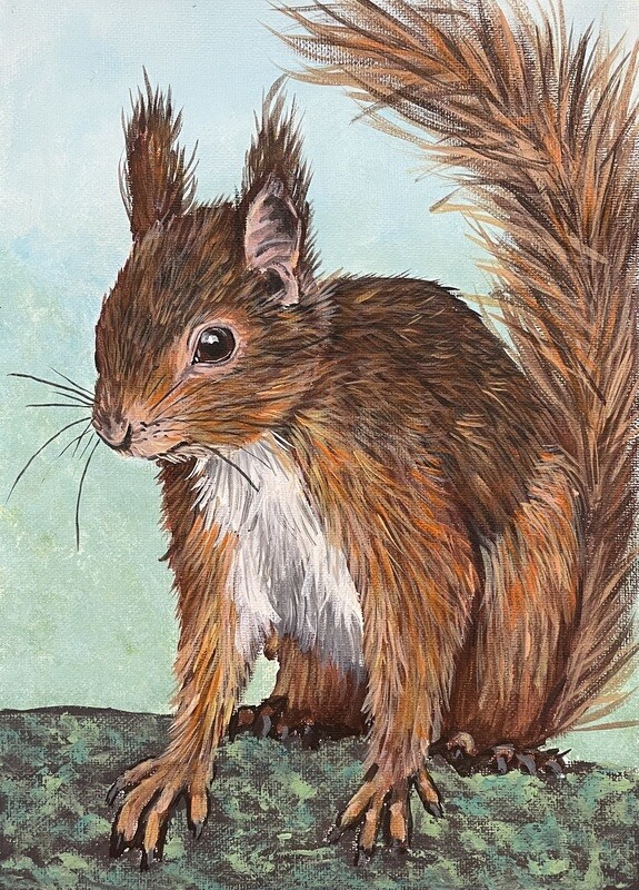 Red Squirrel Up Close in Acrylics