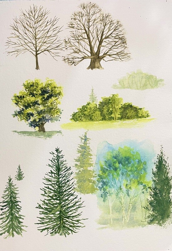 Skill Builder: Trees in Watercolour