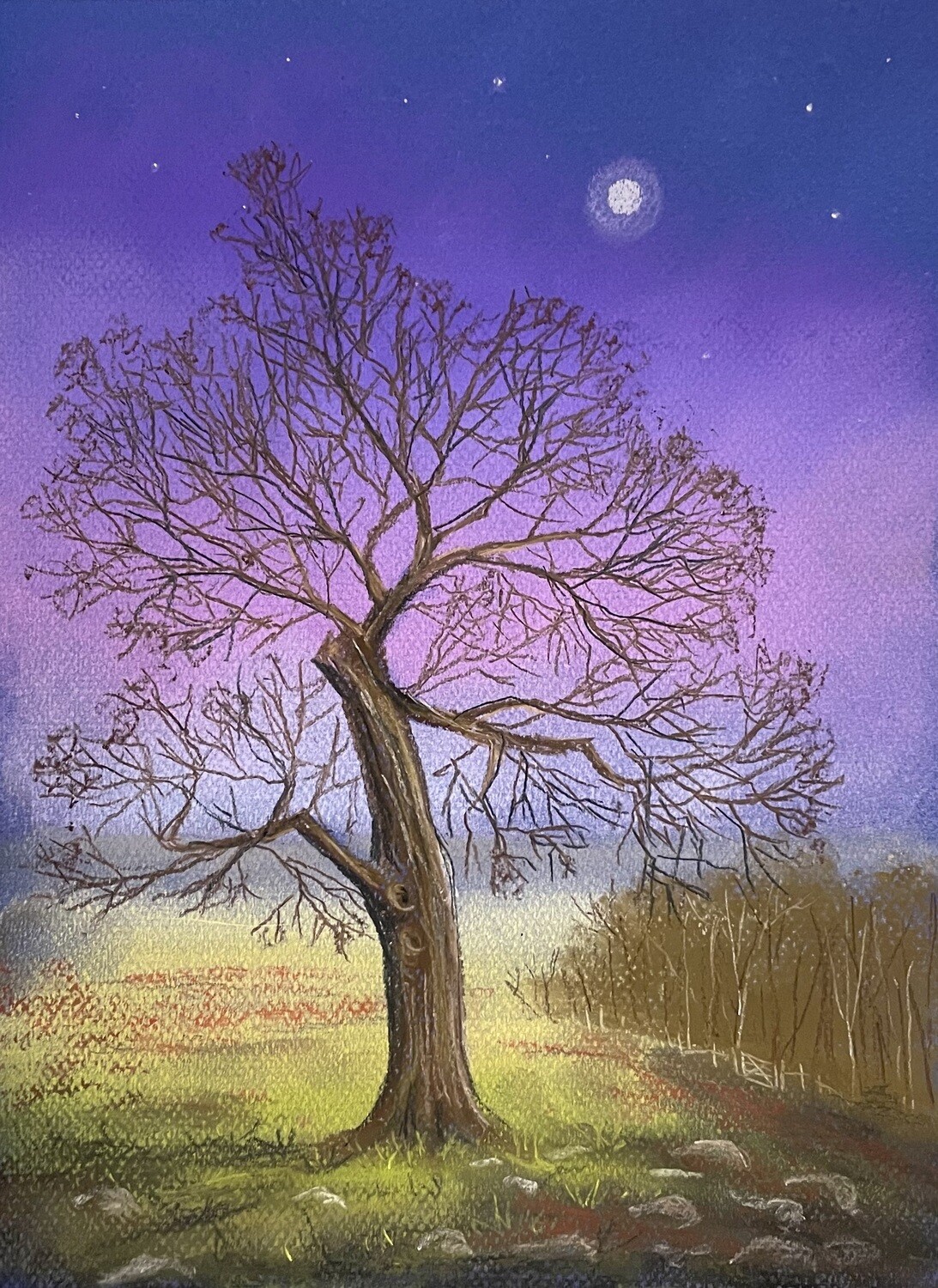 Tree with Purple Evening Sky in Pastels