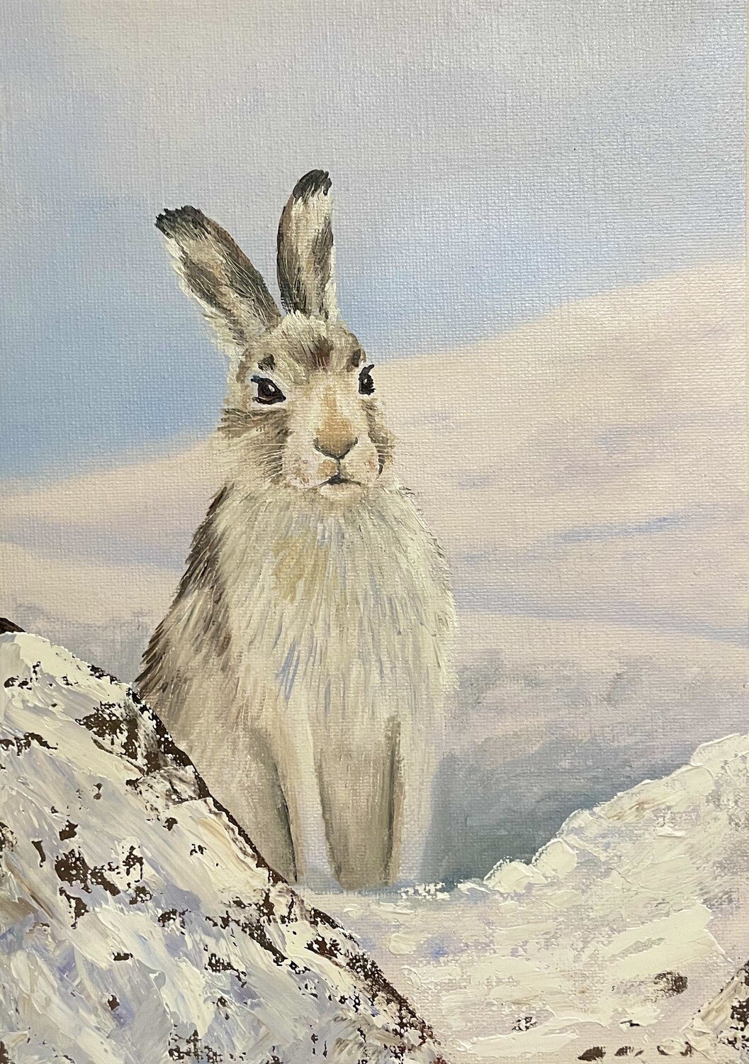 White Hare in the Snow in Oils