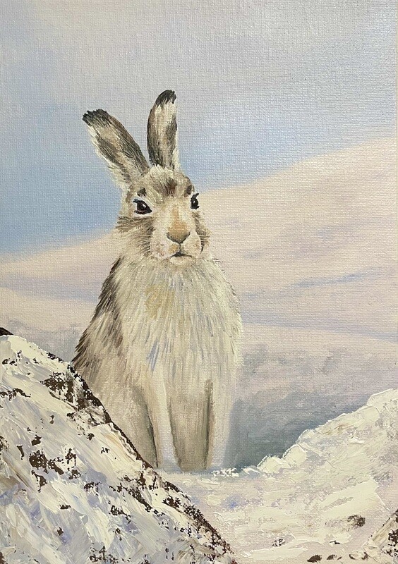 White Hare in the Snow in Oils