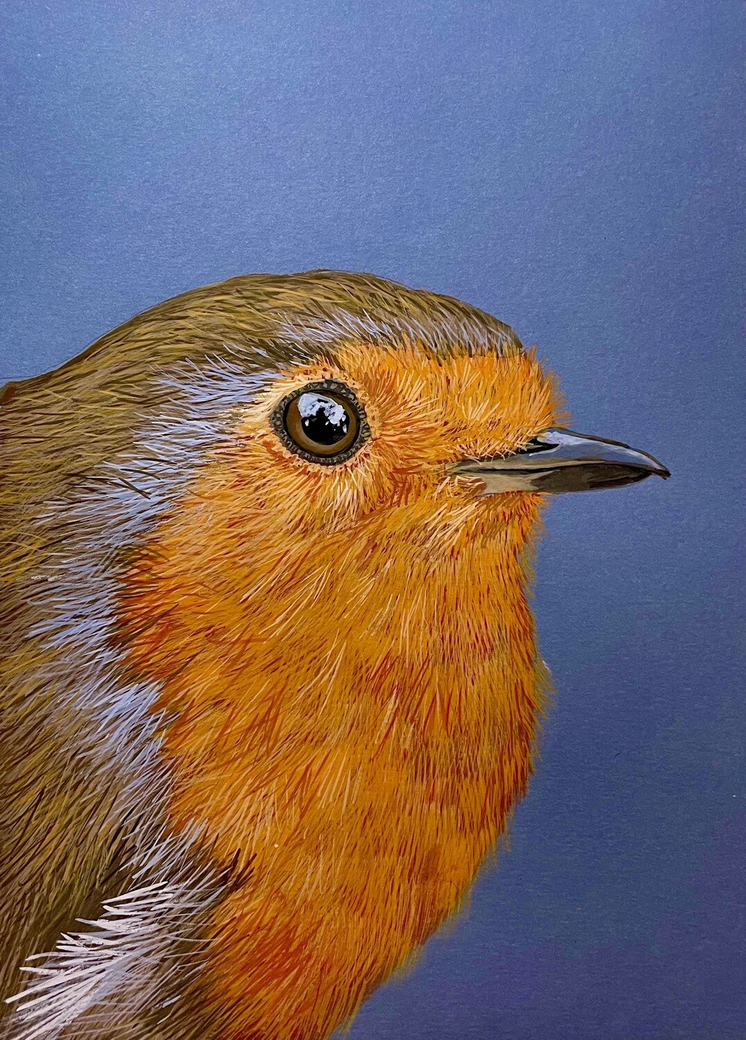 Robin Up Close in Gouache