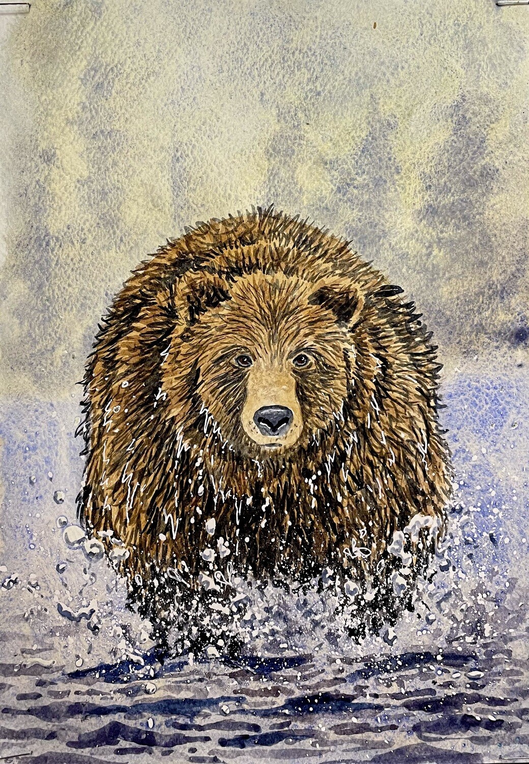 Bear Running Through Water in Watercolour