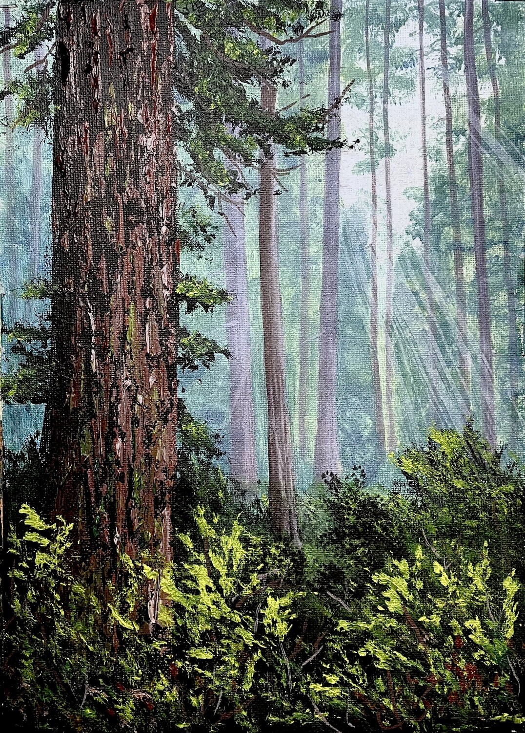 Dark Misty Forest in Acrylics