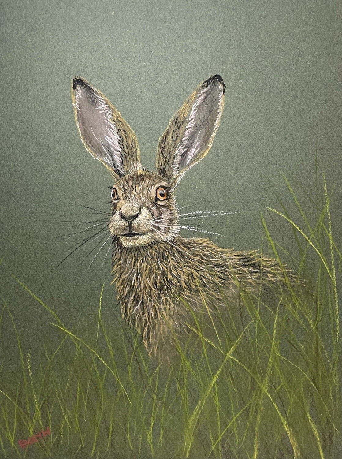 Hare in the Long Grass in Pastels