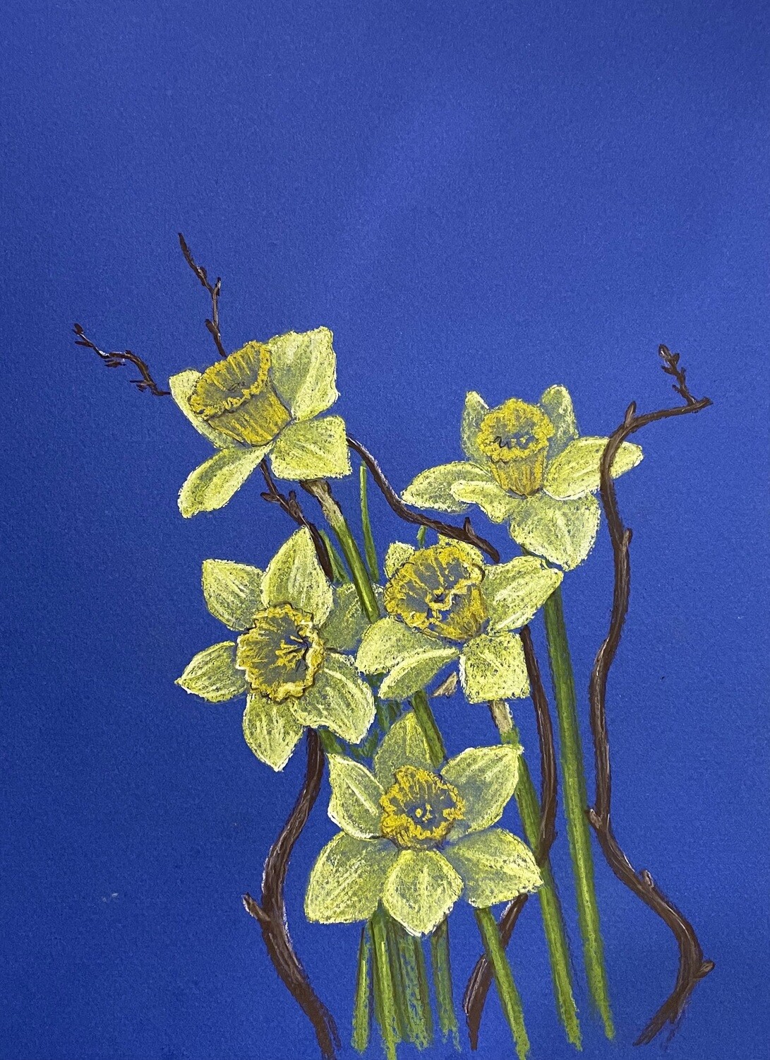 Daffodils in Pastels