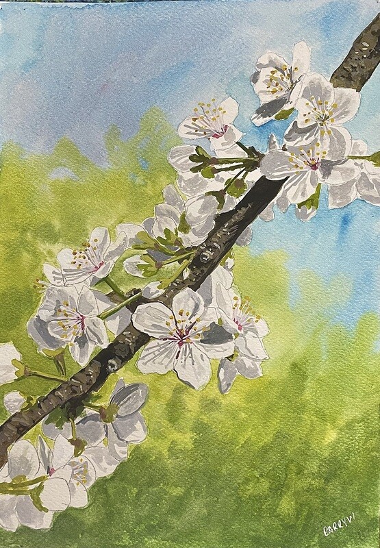 Blossom in Gouache