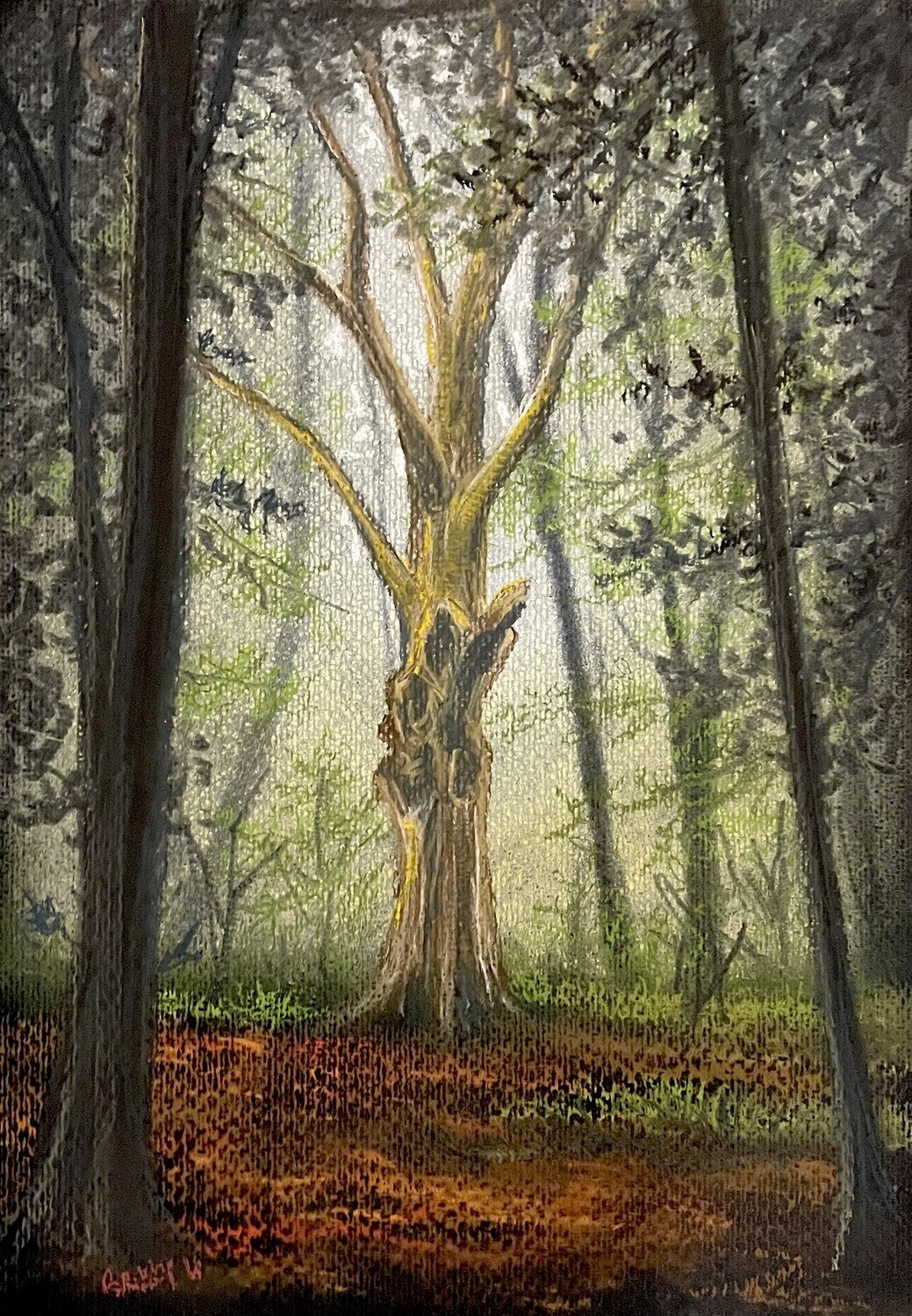 Calming Forest at Piper&#39;s Hill in Pastels