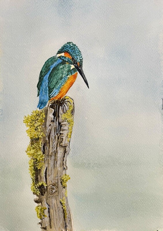 Kingfisher in Watercolour