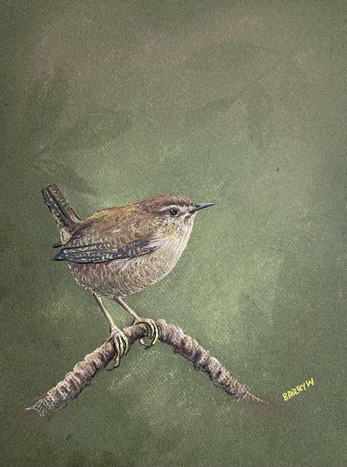 Little Wren in Pastels