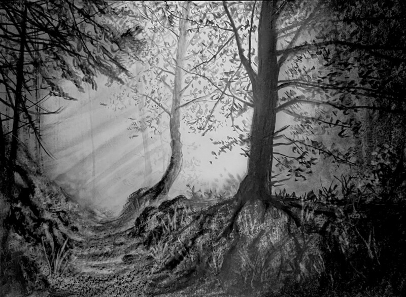 Misty Woodland in Pencil