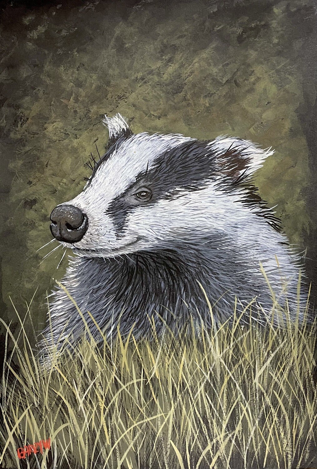 A  Badger in Gouache