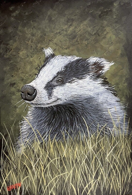 A  Badger in Gouache