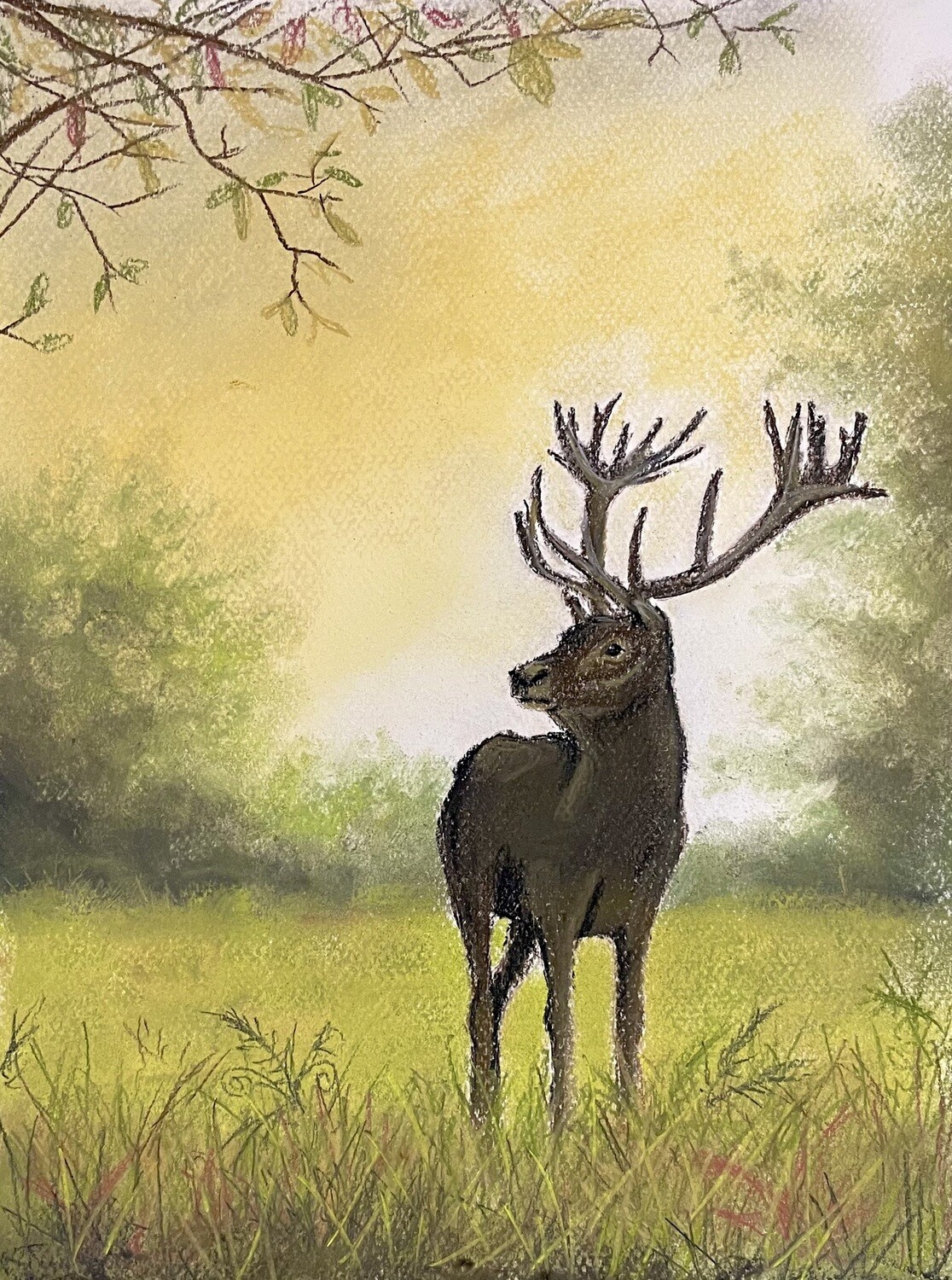 Stag Silhouette at Richmond Park in Pastels