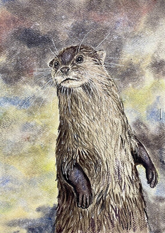 An Otter Portrait in Watercolour