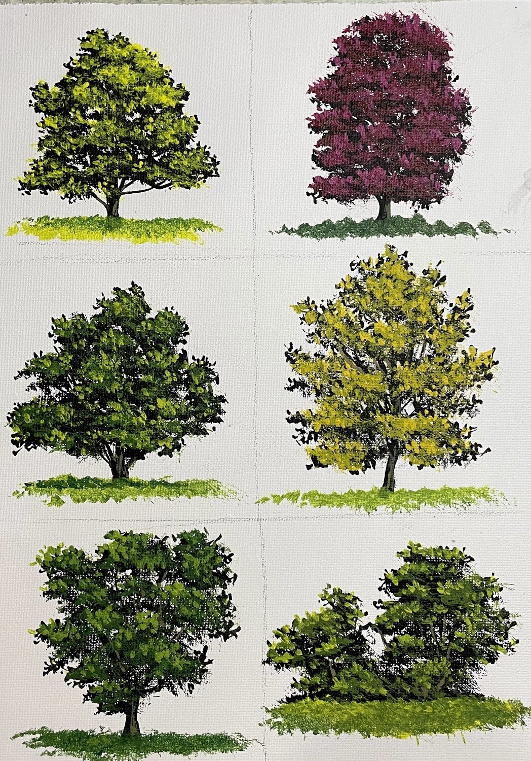 Skill Builder: Summer Trees in Acrylics