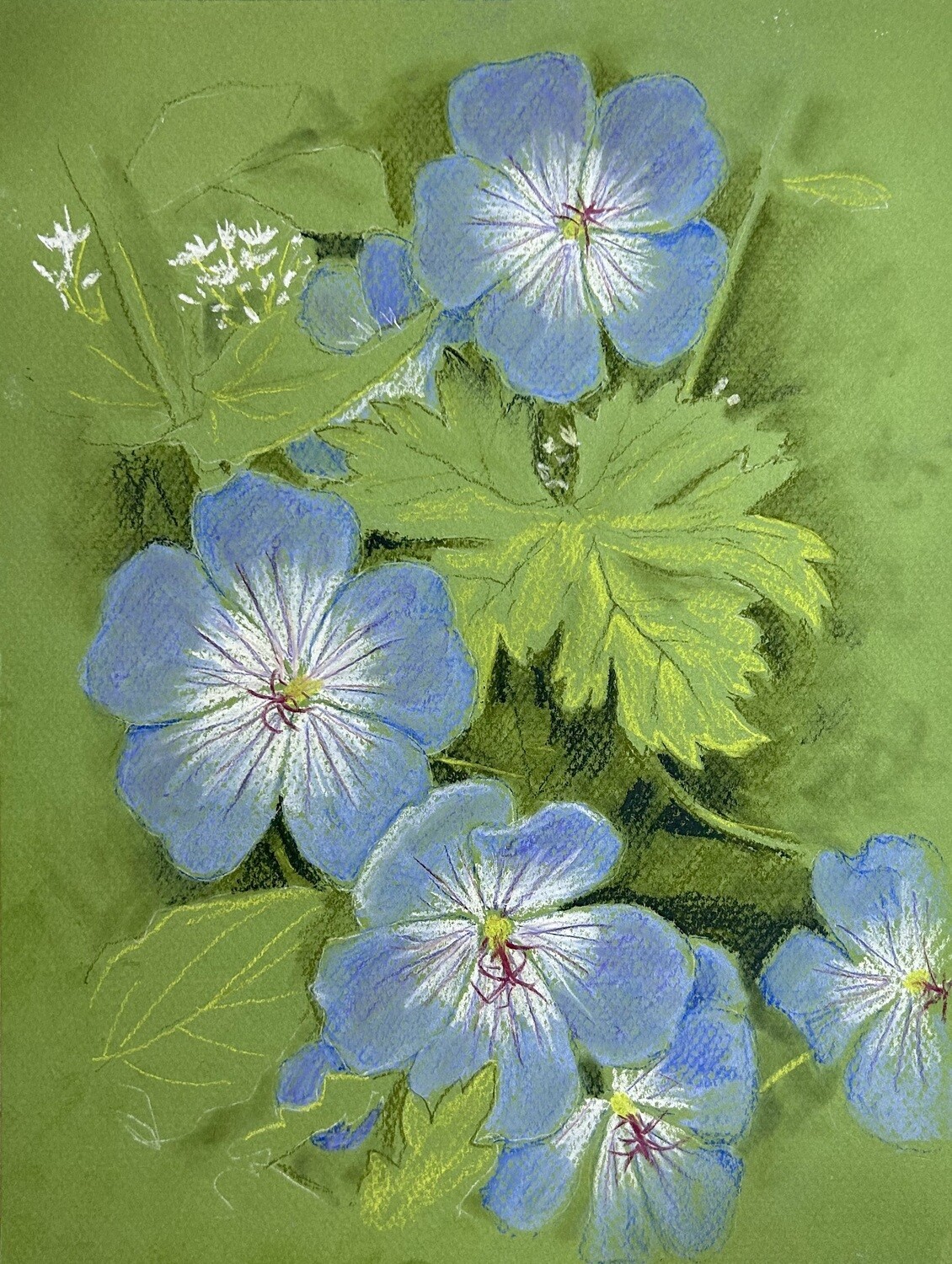 Purple Flowers in Pastels