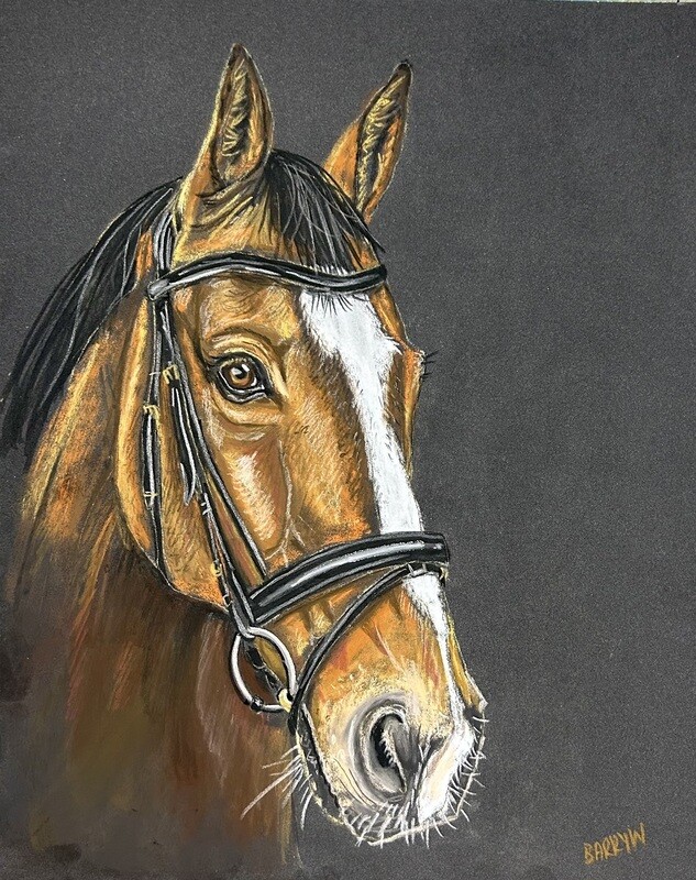 Horse&#39;s Head in Pastels