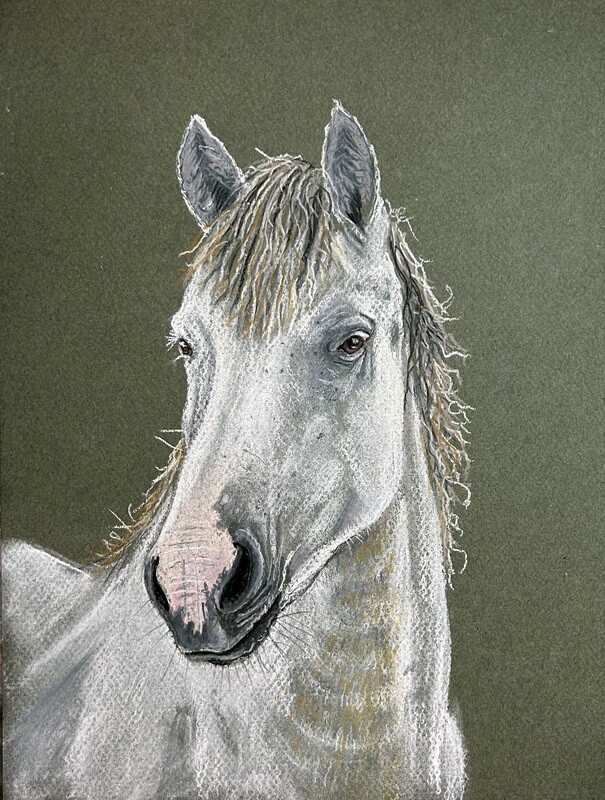 White Horse&#39;s Head in Pastels