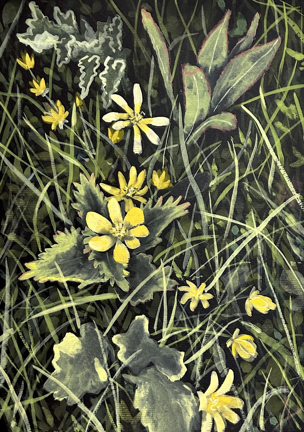 Yellow Flowers Amongst the Grass in Gouache