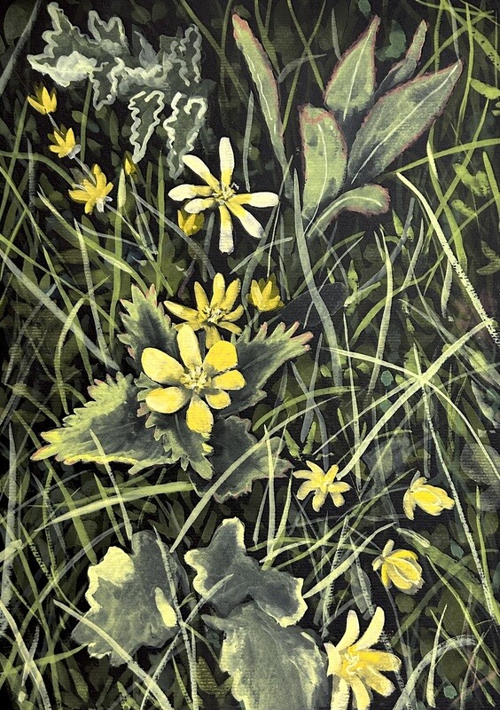 Yellow Flowers Amongst the Grass in Gouache
