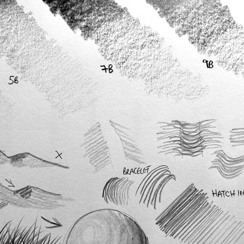 Drawing For Beginners Weeks 1-4