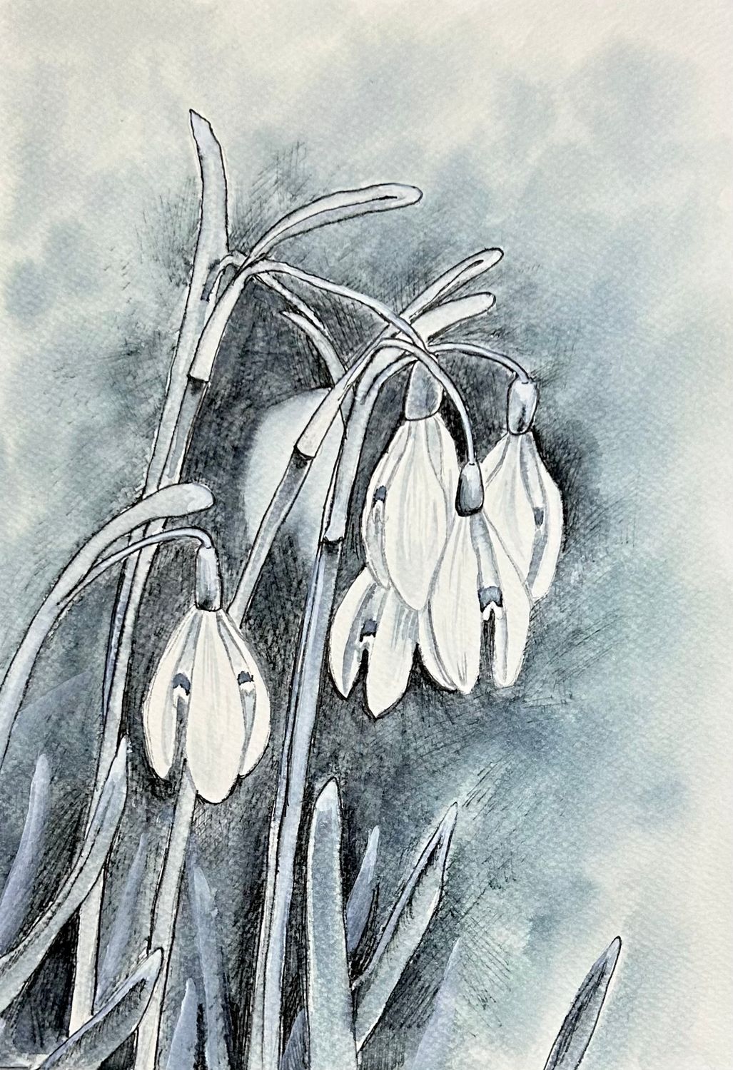 Snowdrops in Watersoluble Pen