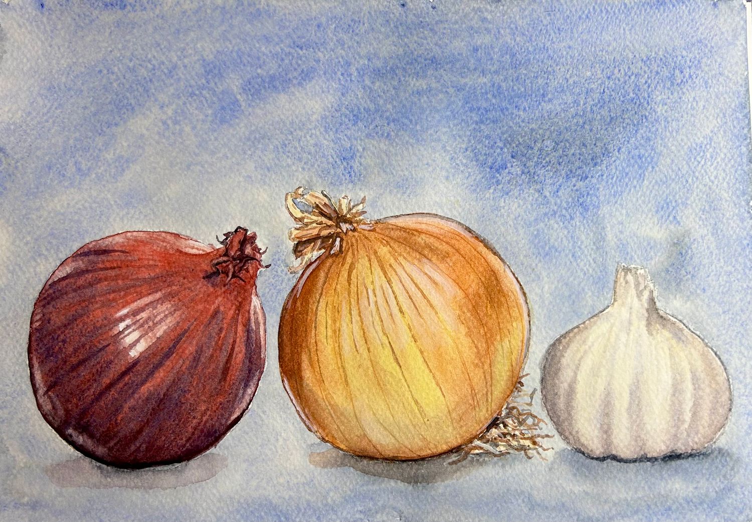 Still Life of Onions in Watercolour