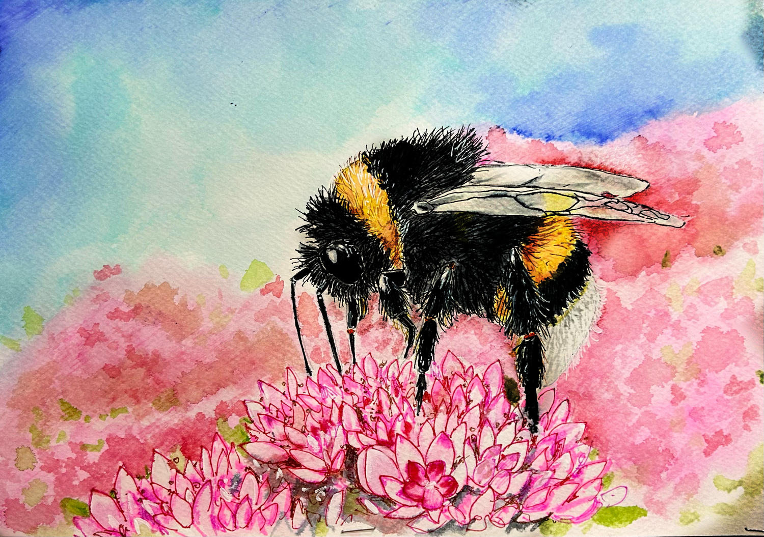 Bee on a Flower in Coloured Water Soluble Pen