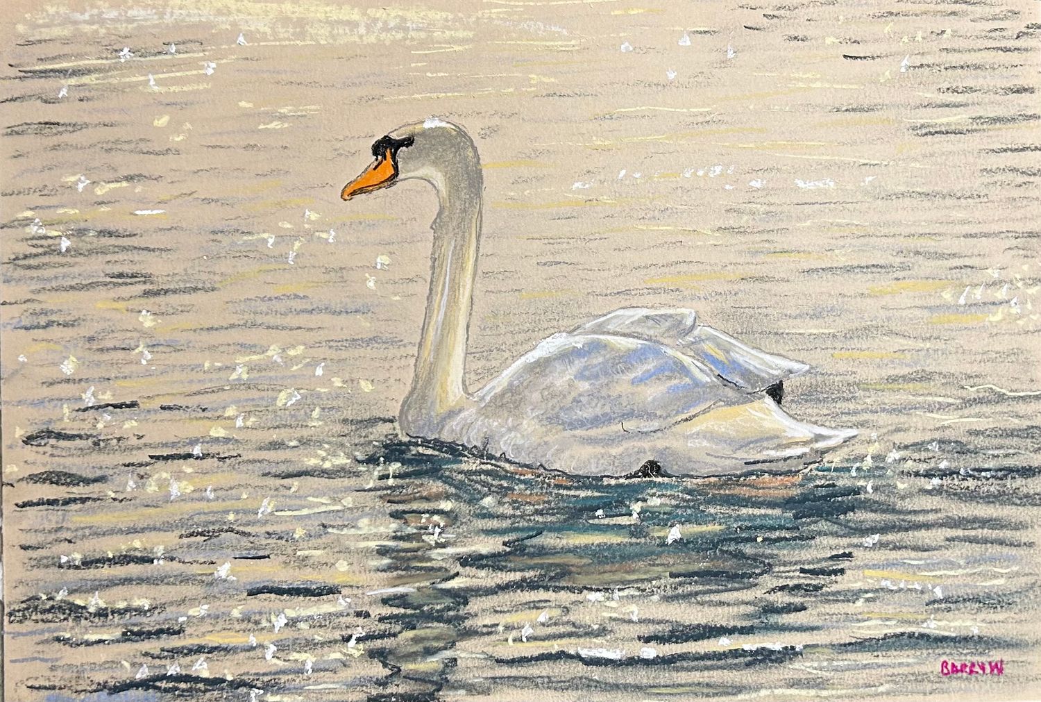 Swan Swimmins in Pastels