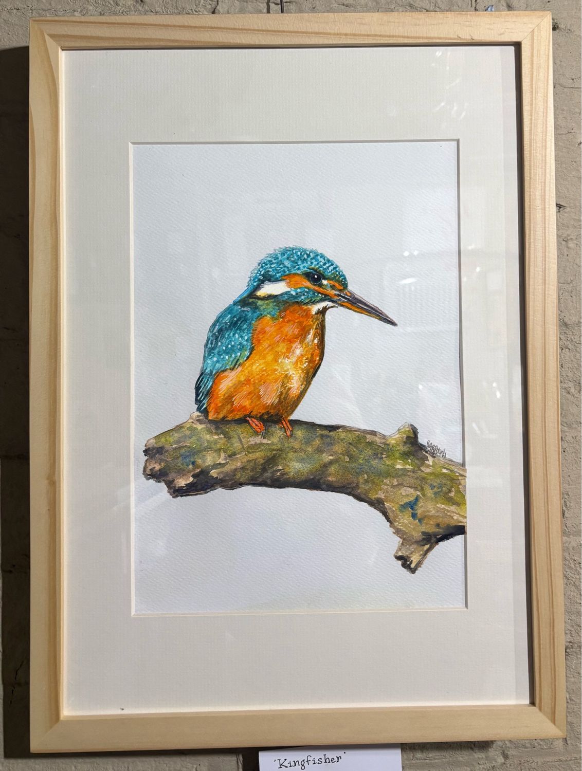Kingfisher