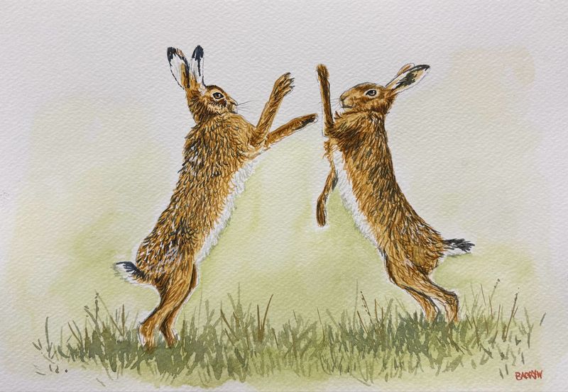 Boxing Hares