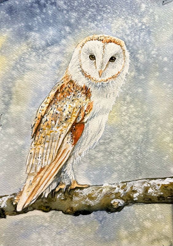 Winter’s Accomplice