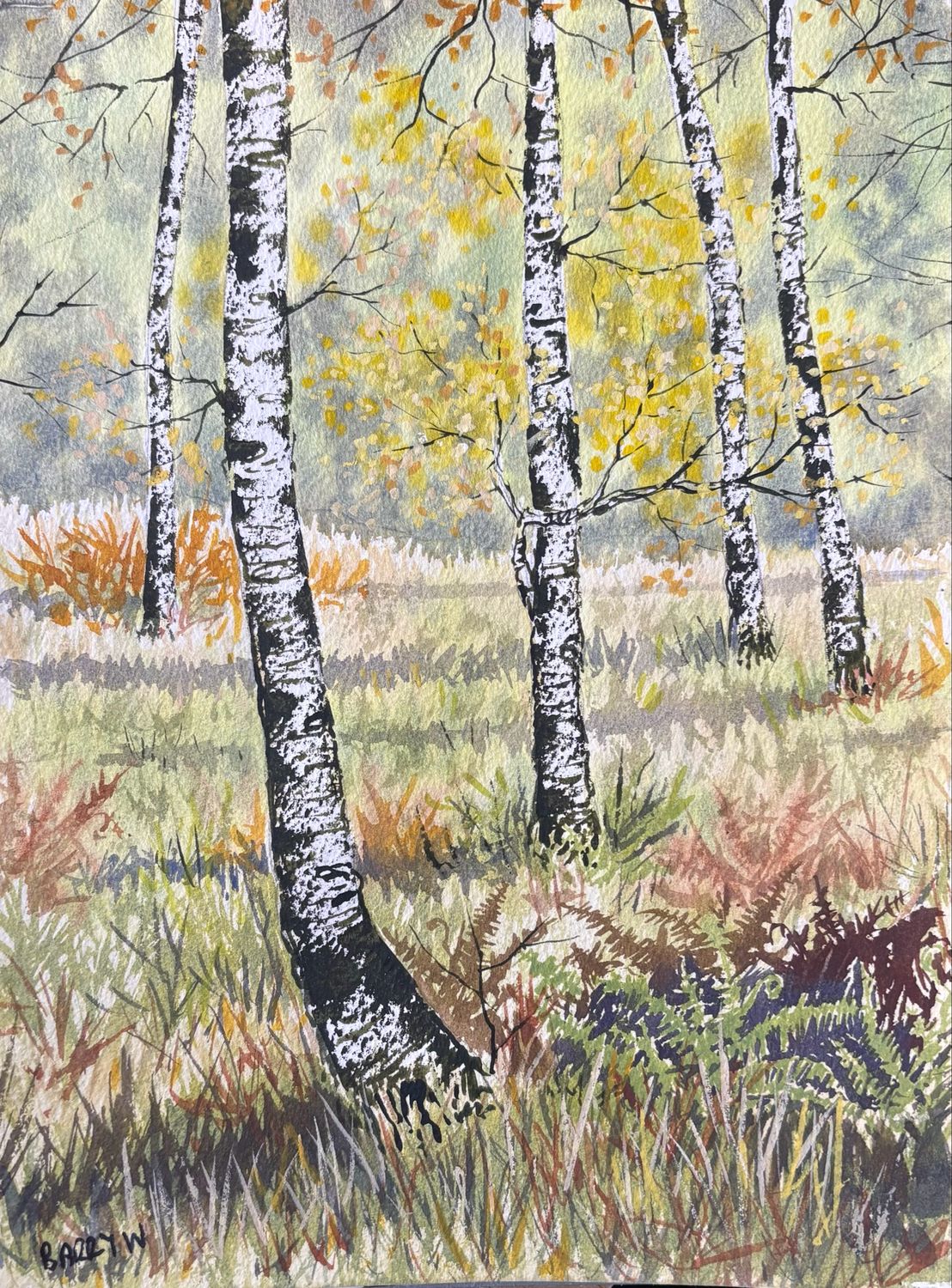 Autumn Birches