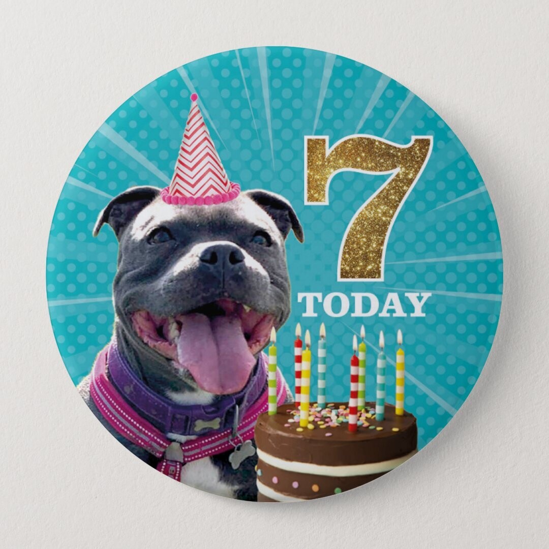 Personalised Dog Birthday Badges