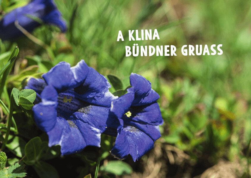 Grusskarte A klina Bündner Gruass