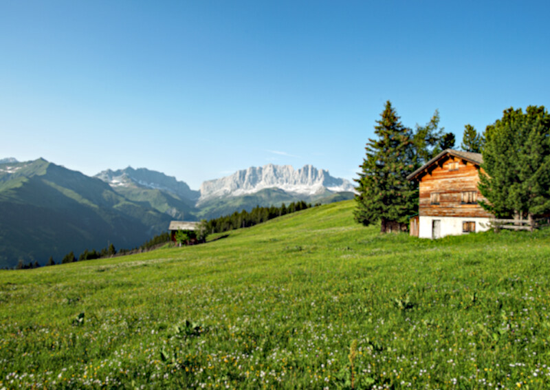 Grusskarte Alp Wiese