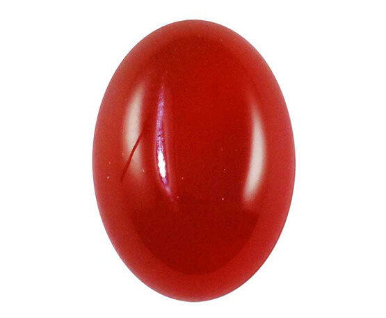 मूँगा (Coral)