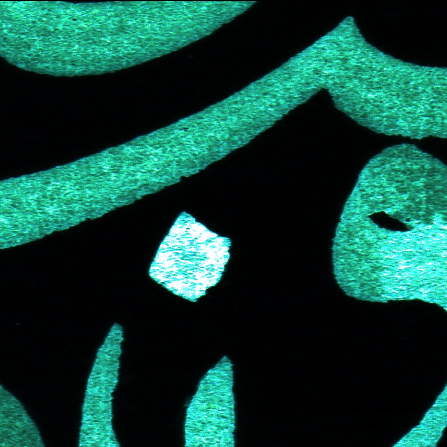 Green &amp; Black Caligraphy Design Greeting Card