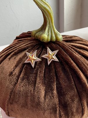 Gold Detail or Silver Detail Star Stud