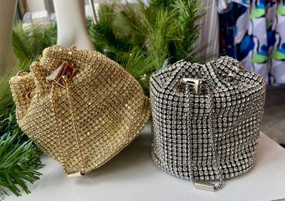 Silver or Gold Bag