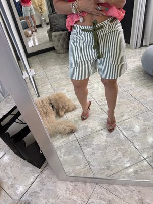 Olive Stripes Summer Pant