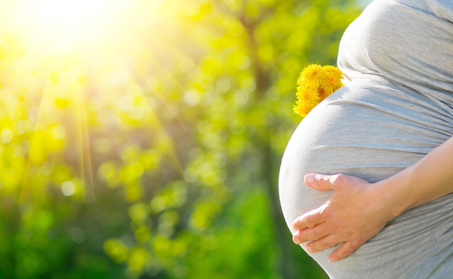 Healthy Pregnancy, Confident Birth Healthy Pregnancy, Confident Birth