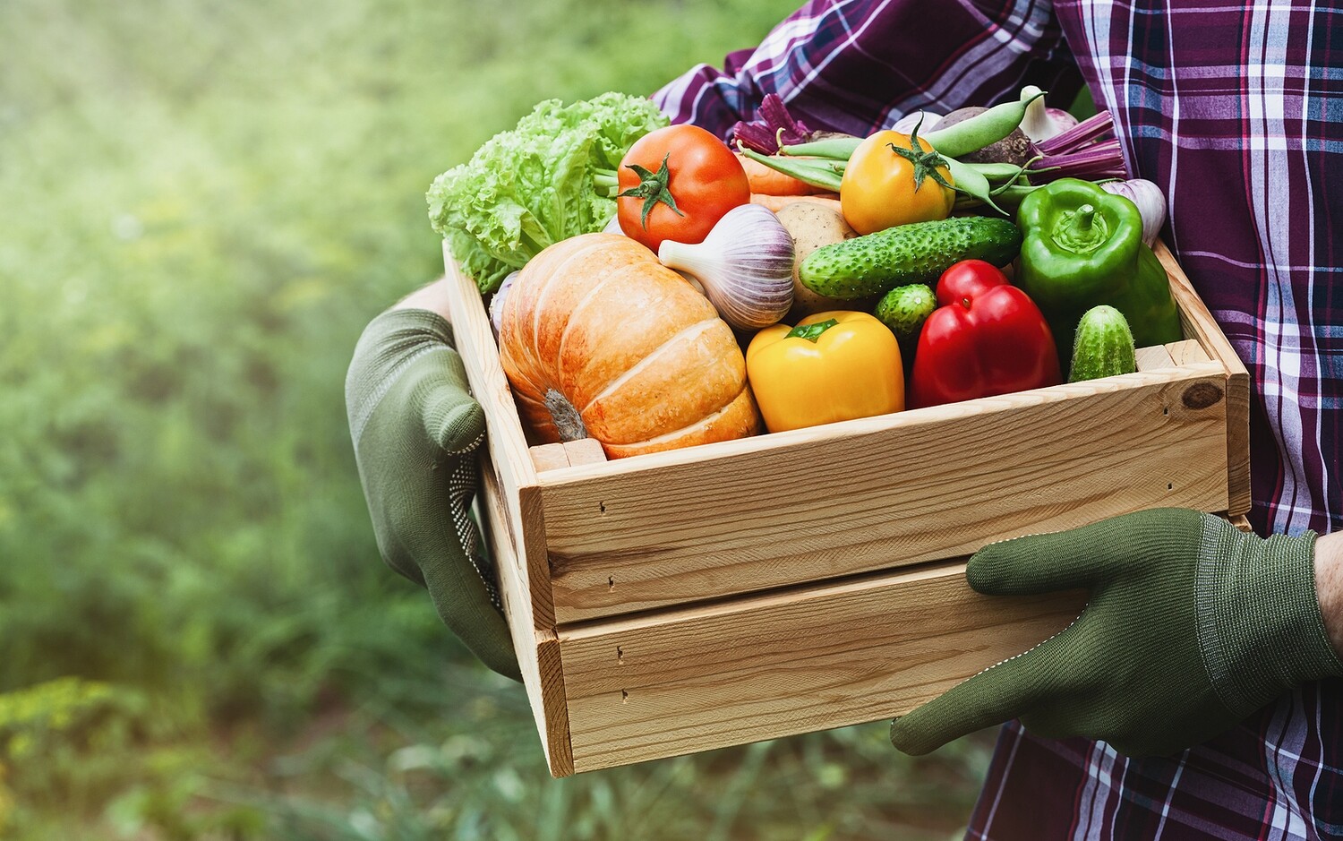 Fall 2020 Lunch and Learn Series, Integrative Nutrition Fall 2020 Lunch and Learn Series, Integrative Nutrition