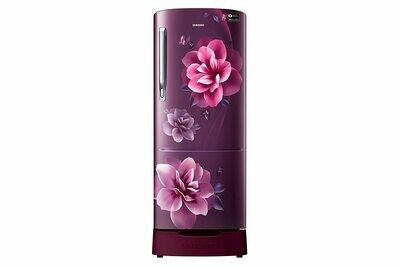 Samsung 192 L 3 Star Inverter Direct-Cool Single-Door Refrigerator (RR20R182ZCR/HL, Camellia Purple)