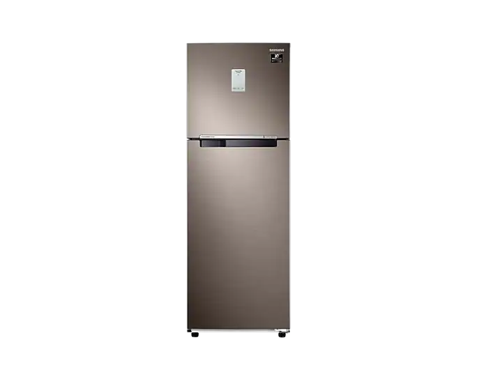 Samsung | Curd Maestro™ Double Door Refrigerator | 265L | 2 Star | RT30A3A22DX