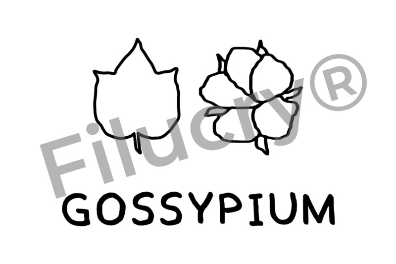 "Baumwolle" Plotterdatei, Digitaler Download, SVG / JPG / PNG / PDF