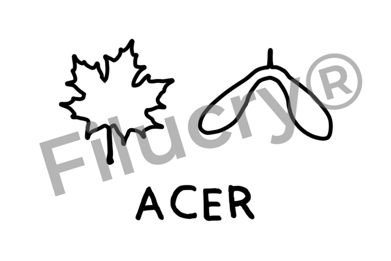 "Ahorn" Plotterdatei, Digitaler Download, SVG / JPG / PNG / PDF