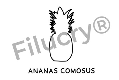 "Ananas" Plotterdatei, Digitaler Download, SVG / JPG / PNG / PDF