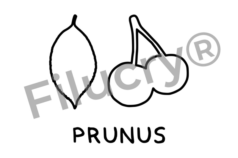 "Kirsche" Plotterdatei, Digitaler Download, SVG / JPG / PNG / PDF